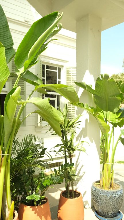 Creating a Relaxing Garden Space at Home: Practical Tips